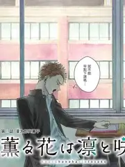 慢生活手册 治愈系综艺在线观看